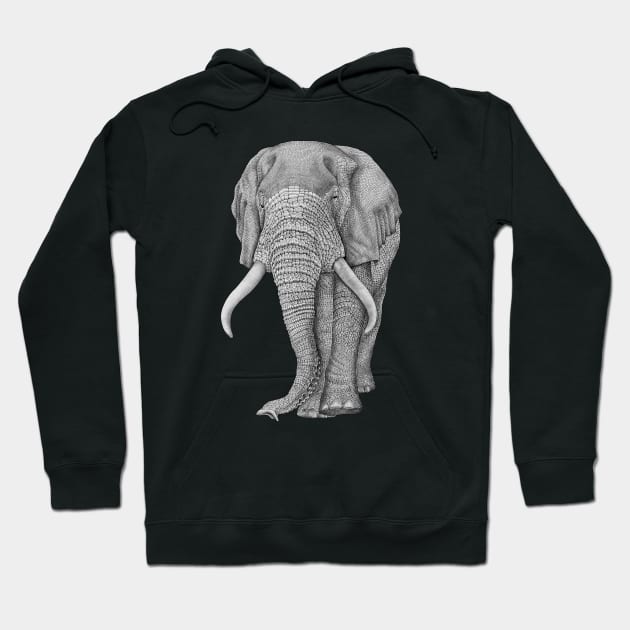 African elephant Hoodie by Tim Jeffs Art